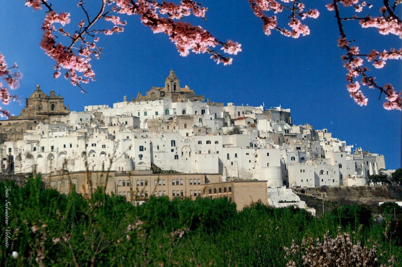 Villa Casa Carlotta à Ostuni Extérieur photo